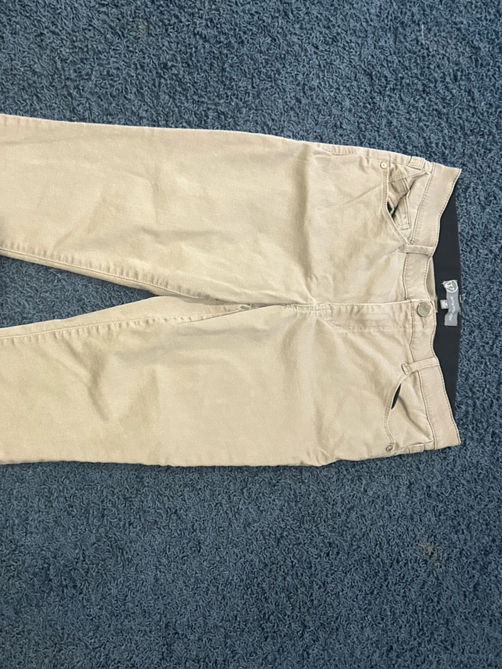 Wit & Wisdom Beige Stretch Waistband Pants